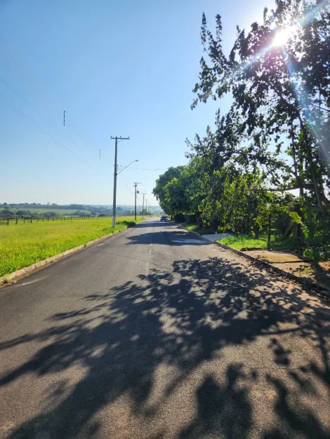 Comprar Terreno / Padr&atilde;o em Cedral R$ 75.000,00 - Foto 4