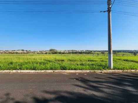Terreno / Padr&atilde;o em Cedral , Comprar por R$75.000,00
