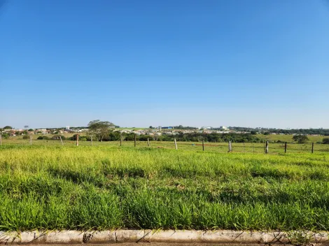 Comprar Terreno / Padr&atilde;o em Cedral R$ 75.000,00 - Foto 2