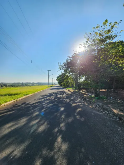 Comprar Terreno / Padr&atilde;o em Cedral R$ 75.000,00 - Foto 3