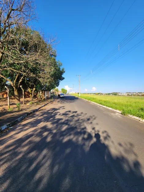 Comprar Terreno / Padr&atilde;o em Cedral R$ 75.000,00 - Foto 4