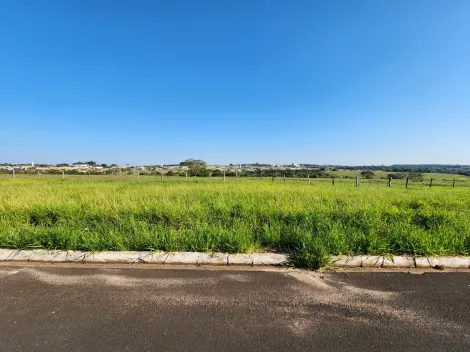 Terreno / Padr&atilde;o em Cedral , Comprar por R$68.000,00