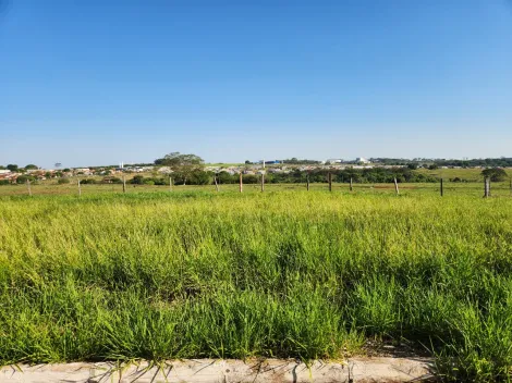 Comprar Terreno / Padr&atilde;o em Cedral R$ 68.000,00 - Foto 2
