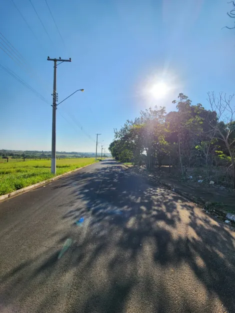 Comprar Terreno / Padr&atilde;o em Cedral R$ 68.000,00 - Foto 3