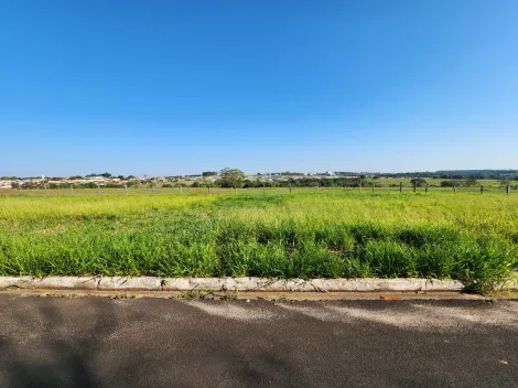 Terreno / Padr&atilde;o em Cedral , Comprar por R$68.000,00