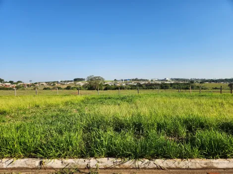 Comprar Terreno / Padr&atilde;o em Cedral R$ 68.000,00 - Foto 2