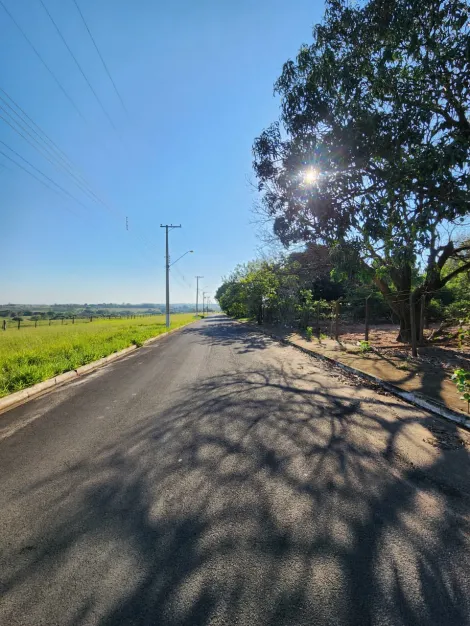 Comprar Terreno / Padr&atilde;o em Cedral R$ 68.000,00 - Foto 3