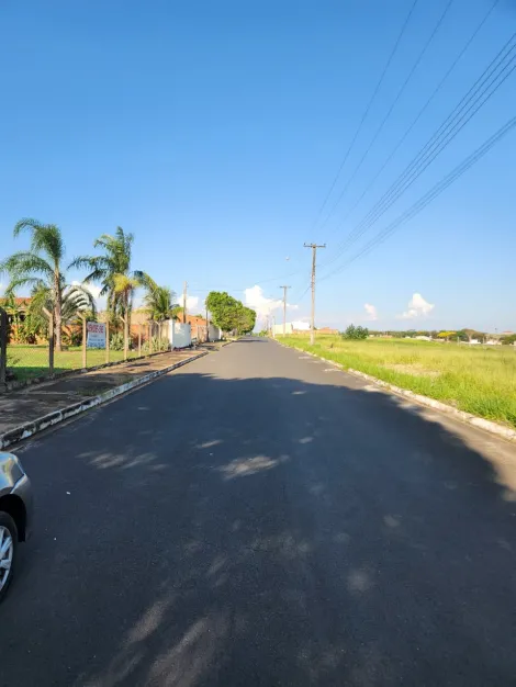 Comprar Terreno / Padr&atilde;o em Cedral R$ 68.000,00 - Foto 4