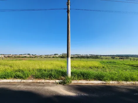 Terreno / Padr&atilde;o em Cedral , Comprar por R$68.000,00