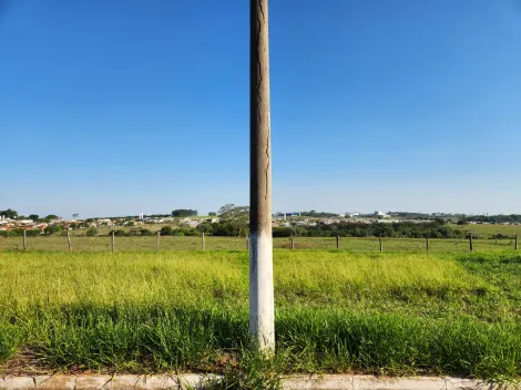 Comprar Terreno / Padr&atilde;o em Cedral R$ 68.000,00 - Foto 2
