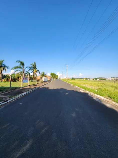 Comprar Terreno / Padr&atilde;o em Cedral R$ 68.000,00 - Foto 3