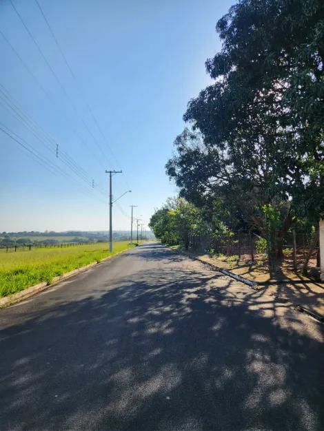 Comprar Terreno / Padr&atilde;o em Cedral R$ 68.000,00 - Foto 4