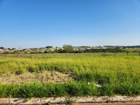 Comprar Terreno / Padr&atilde;o em Cedral R$ 68.000,00 - Foto 2