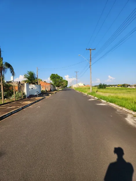 Comprar Terreno / Padr&atilde;o em Cedral R$ 68.000,00 - Foto 3