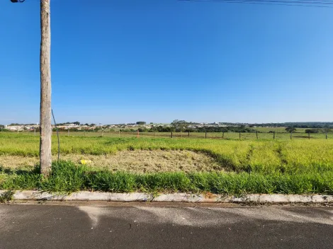 Alugar Terreno / Padr&atilde;o em Cedral. apenas R$ 96.000,00