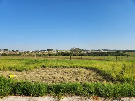 Comprar Terreno / Padr&atilde;o em Cedral R$ 96.000,00 - Foto 2
