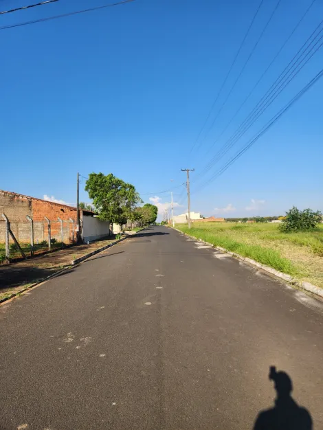 Comprar Terreno / Padr&atilde;o em Cedral R$ 96.000,00 - Foto 3