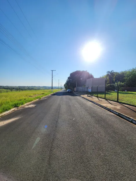 Comprar Terreno / Padr&atilde;o em Cedral R$ 96.000,00 - Foto 4