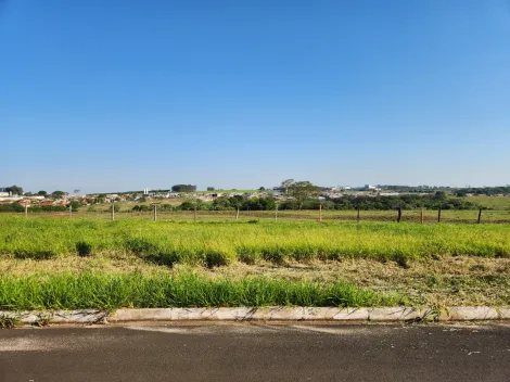 Comprar Terreno / Padr&atilde;o em Cedral R$ 68.000,00 - Foto 2