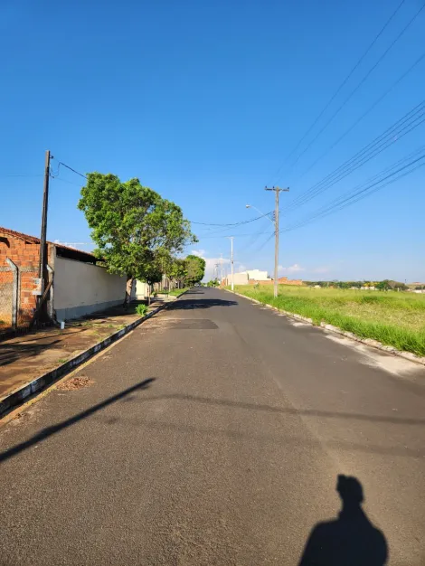 Comprar Terreno / Padr&atilde;o em Cedral R$ 68.000,00 - Foto 3