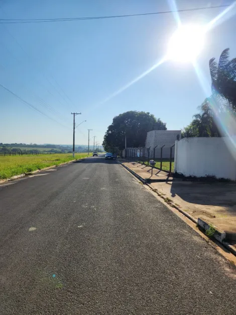Comprar Terreno / Padr&atilde;o em Cedral R$ 68.000,00 - Foto 4