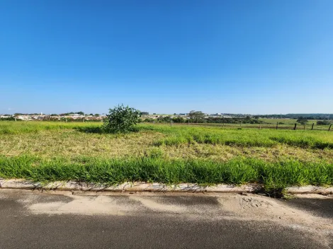 Terreno / Padr&atilde;o em Cedral , Comprar por R$68.000,00