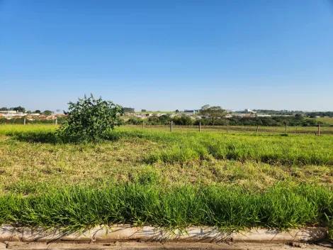 Comprar Terreno / Padr&atilde;o em Cedral R$ 68.000,00 - Foto 2