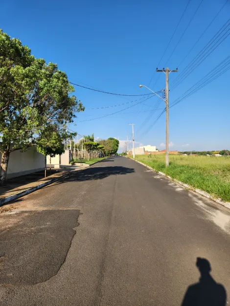 Comprar Terreno / Padr&atilde;o em Cedral R$ 68.000,00 - Foto 4