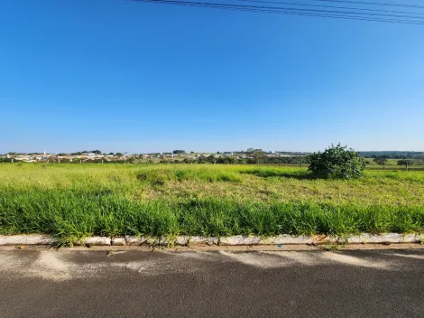 Terreno / Padr&atilde;o em Cedral , Comprar por R$68.000,00