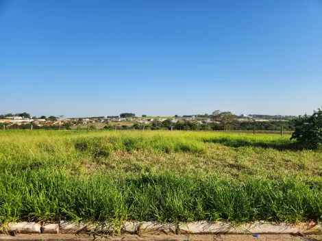 Comprar Terreno / Padr&atilde;o em Cedral R$ 68.000,00 - Foto 2