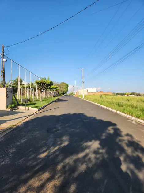 Comprar Terreno / Padr&atilde;o em Cedral R$ 68.000,00 - Foto 3
