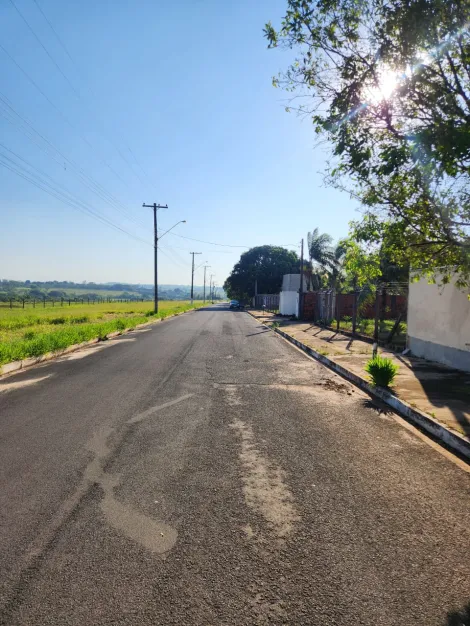 Comprar Terreno / Padr&atilde;o em Cedral R$ 68.000,00 - Foto 4