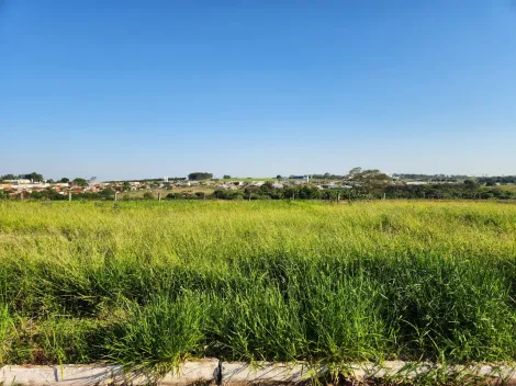 Comprar Terreno / Padr&atilde;o em Cedral R$ 68.000,00 - Foto 2