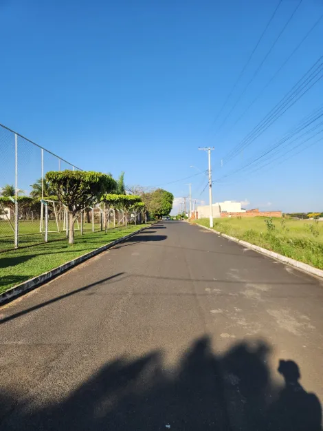 Comprar Terreno / Padr&atilde;o em Cedral R$ 68.000,00 - Foto 3