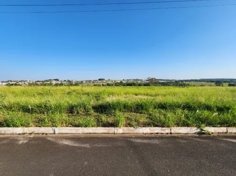 Terreno / Padr&atilde;o em Cedral , Comprar por R$68.000,00