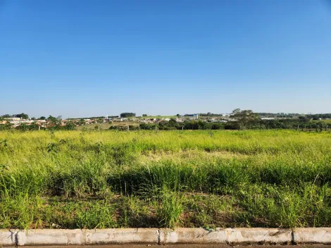 Comprar Terreno / Padr&atilde;o em Cedral R$ 68.000,00 - Foto 2