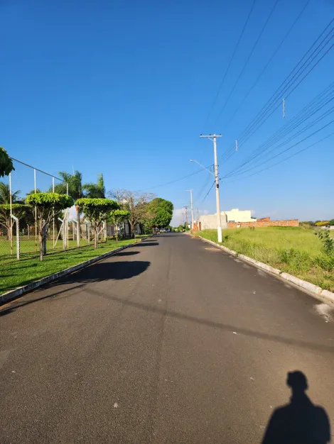 Comprar Terreno / Padr&atilde;o em Cedral R$ 68.000,00 - Foto 3