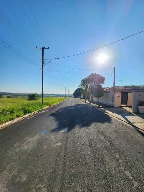 Comprar Terreno / Padr&atilde;o em Cedral R$ 68.000,00 - Foto 4