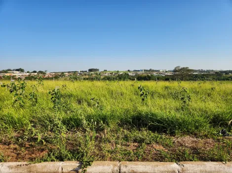 Comprar Terreno / Padr&atilde;o em Cedral R$ 68.000,00 - Foto 2
