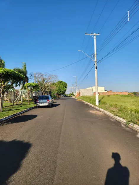 Comprar Terreno / Padr&atilde;o em Cedral R$ 68.000,00 - Foto 3