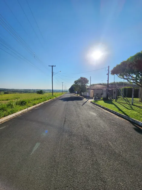 Comprar Terreno / Padr&atilde;o em Cedral R$ 68.000,00 - Foto 4