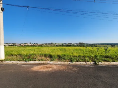 Terreno / Padr&atilde;o em Cedral , Comprar por R$68.000,00