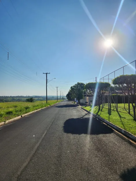 Comprar Terreno / Padr&atilde;o em Cedral R$ 68.000,00 - Foto 2