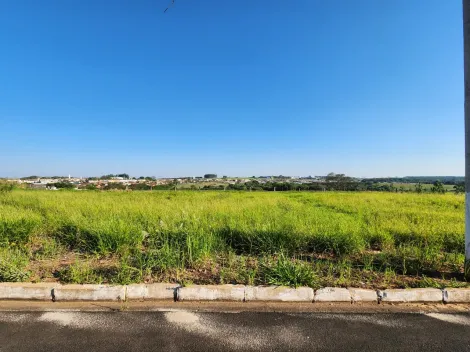 Terreno / Padr&atilde;o em Cedral , Comprar por R$96.000,00