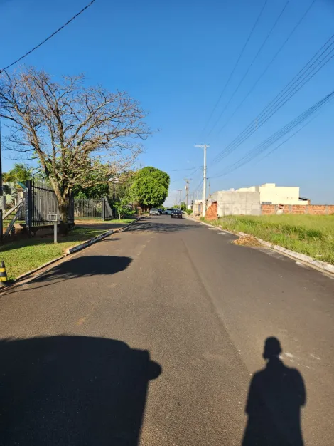 Comprar Terreno / Padr&atilde;o em Cedral R$ 96.000,00 - Foto 2