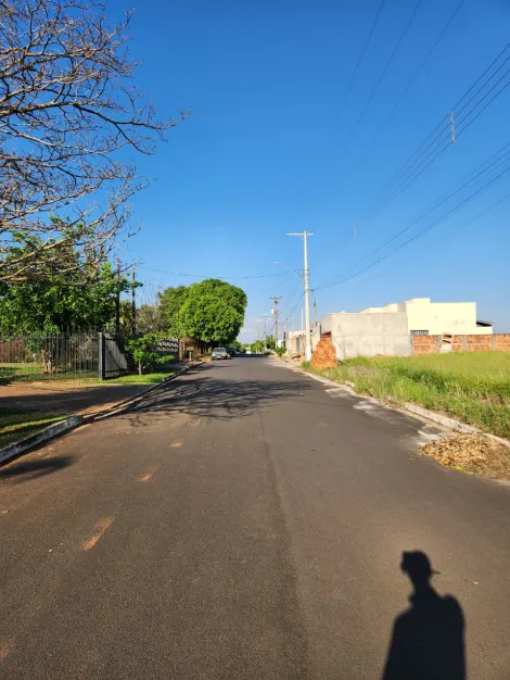 Comprar Terreno / Padr&atilde;o em Cedral R$ 96.000,00 - Foto 3