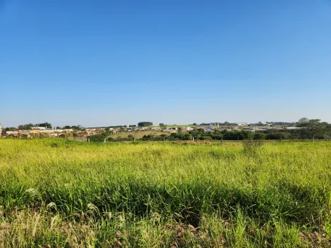 Comprar Terreno / Padr&atilde;o em Cedral R$ 68.000,00 - Foto 2