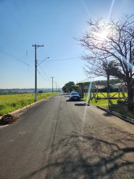 Comprar Terreno / Padr&atilde;o em Cedral R$ 68.000,00 - Foto 19