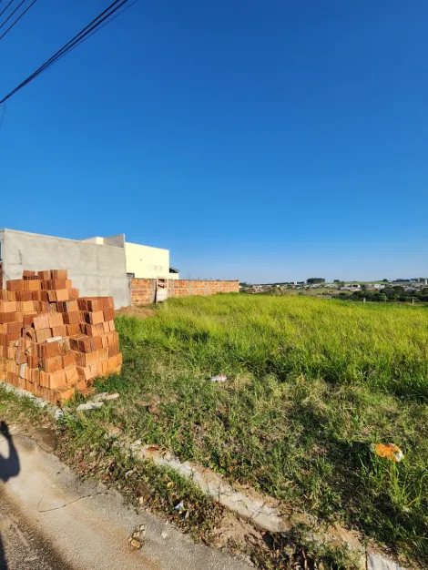 Comprar Terreno / Padr&atilde;o em Cedral R$ 68.000,00 - Foto 2
