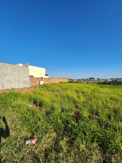 Comprar Terreno / Padr&atilde;o em Cedral R$ 68.000,00 - Foto 3